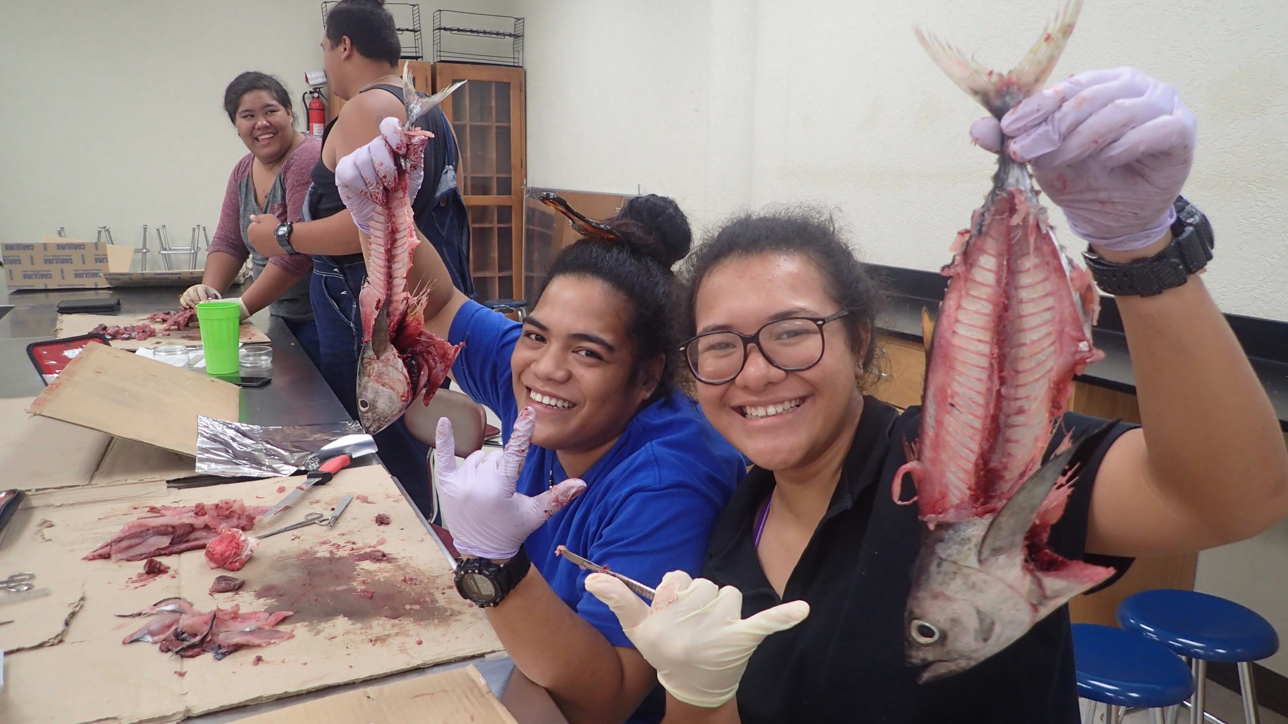 2 ASCC Marine Science Students Direct Fish During A Lab Activity.