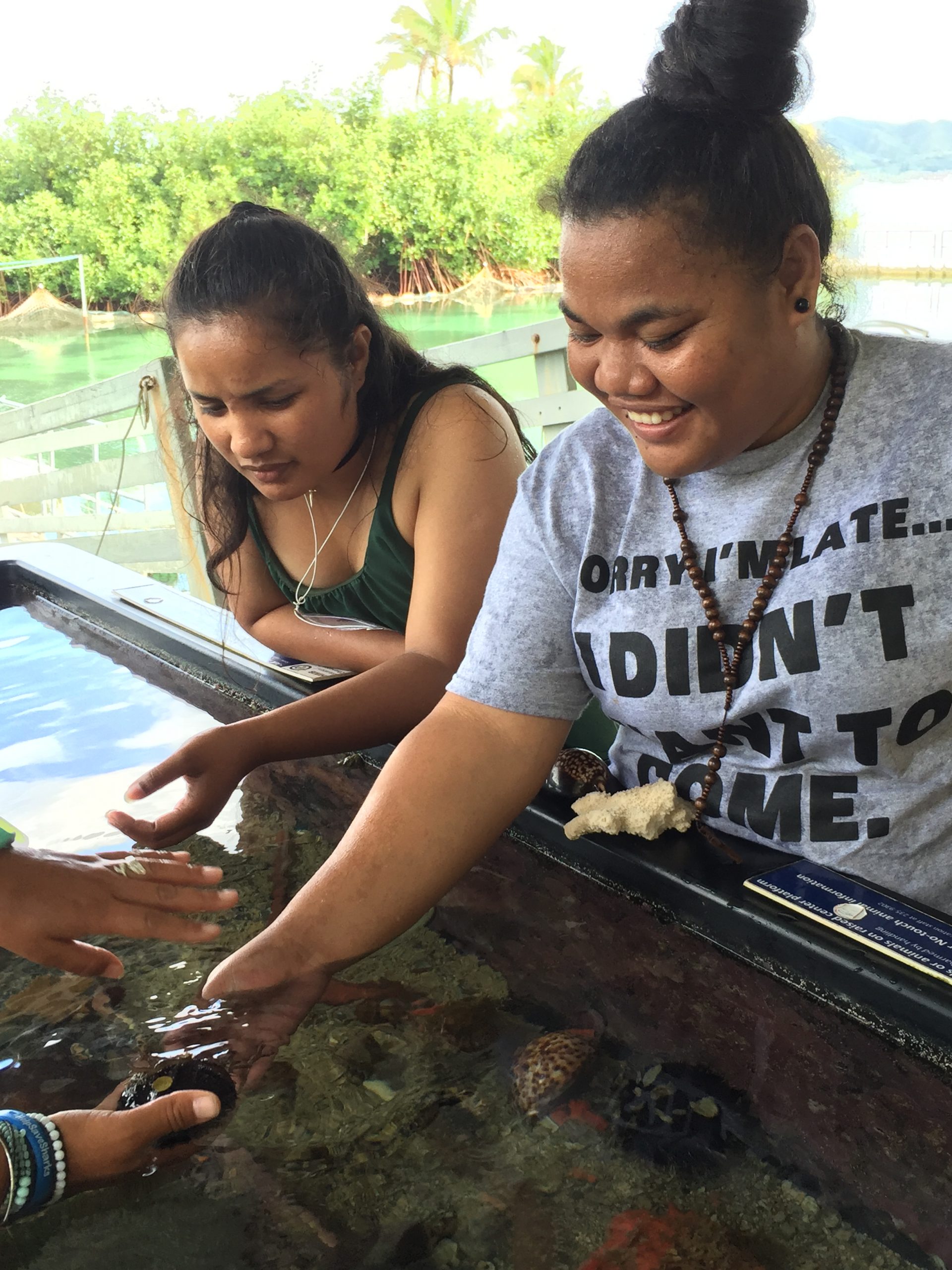CMI Marine Science Students Look At A Touch Tank.