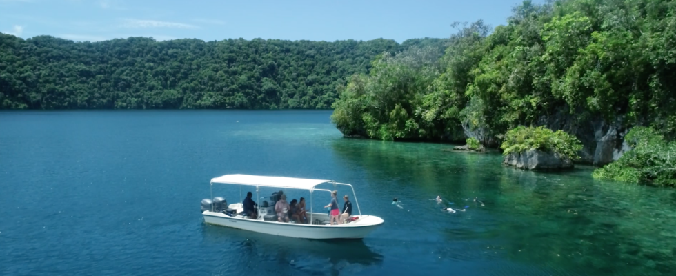 Research Boat And Snorkelers In Palau